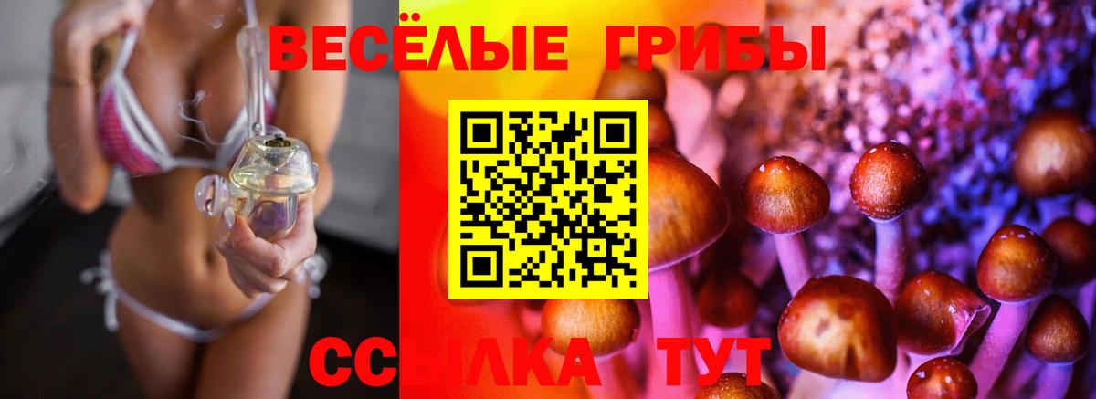 Клинцы  Псилоцибиновые грибы прущие грибы  Галлюциногенные грибы Cubensis  Вход с VPN 
