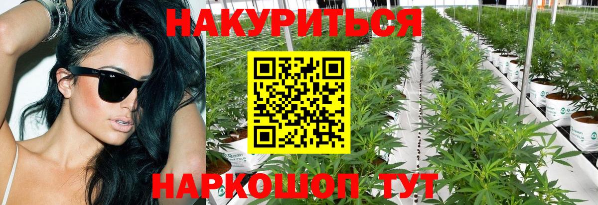 Каннабис AK-47  Бошки Шишки сатива  Клинцы  Вход с VPN 